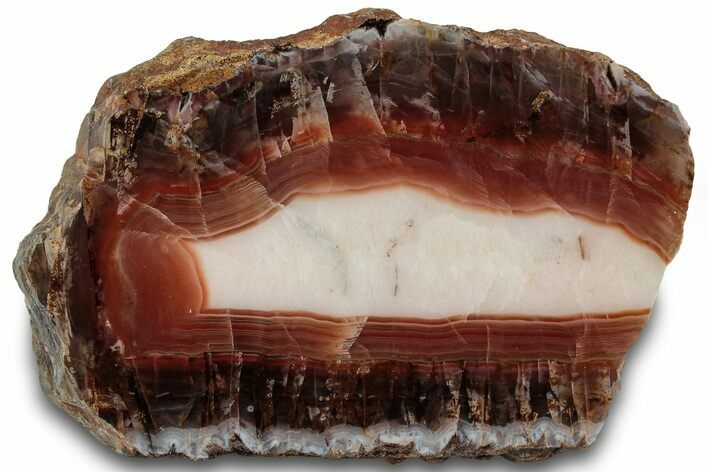 Polished Pilbara Agate Slice - Oldest Known Agate #314432
